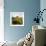 Dry Creek Barn-Lance Kuehne-Framed Photographic Print displayed on a wall