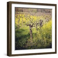 Dry Creek-Lance Kuehne-Framed Photographic Print