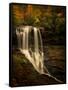 Dry Falls-PHBurchett-Framed Stretched Canvas