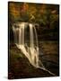 Dry Falls-PHBurchett-Stretched Canvas