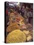 Dry Food on Indoor Stalls in Market, Augban, Shan State, Myanmar (Burma)-Eitan Simanor-Stretched Canvas