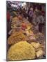Dry Food on Indoor Stalls in Market, Augban, Shan State, Myanmar (Burma)-Eitan Simanor-Mounted Photographic Print