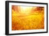 Dry Golden Grass in Autumnal Park-Anna Omelchenko-Framed Photographic Print