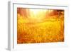 Dry Golden Grass in Autumnal Park-Anna Omelchenko-Framed Photographic Print