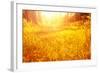 Dry Golden Grass in Autumnal Park-Anna Omelchenko-Framed Photographic Print