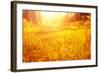 Dry Golden Grass in Autumnal Park-Anna Omelchenko-Framed Photographic Print
