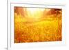 Dry Golden Grass in Autumnal Park-Anna Omelchenko-Framed Photographic Print