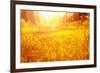 Dry Golden Grass in Autumnal Park-Anna Omelchenko-Framed Photographic Print