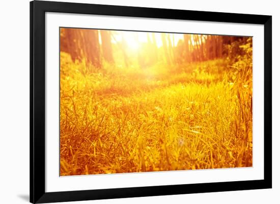 Dry Golden Grass in Autumnal Park-Anna Omelchenko-Framed Photographic Print