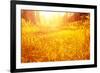 Dry Golden Grass in Autumnal Park-Anna Omelchenko-Framed Photographic Print