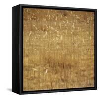 Dry Grass-Micha Pawlitzki-Framed Stretched Canvas