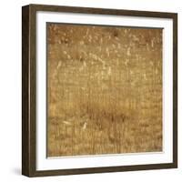 Dry Grass-Micha Pawlitzki-Framed Photographic Print