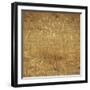 Dry Grass-Micha Pawlitzki-Framed Photographic Print