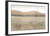 Dry Heat II-Tim O'toole-Framed Art Print