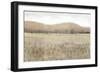 Dry Heat II-Tim O'toole-Framed Art Print