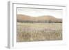 Dry Heat II-Tim O'toole-Framed Art Print