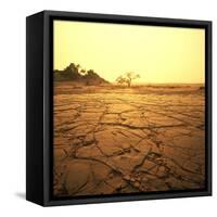 Dry Landscape-Andrushko Galyna-Framed Stretched Canvas