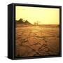 Dry Landscape-Andrushko Galyna-Framed Stretched Canvas