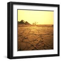 Dry Landscape-Andrushko Galyna-Framed Art Print