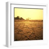 Dry Landscape-Andrushko Galyna-Framed Art Print