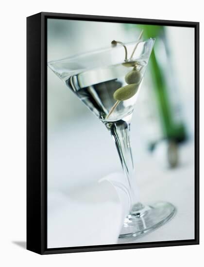 Dry Martini-Ian Garlick-Framed Stretched Canvas