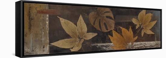 Dry Nature I-Patricia Pinto-Framed Stretched Canvas