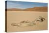 Dry Pan and Sand Dunes in the Centre of the Namib-null-Stretched Canvas