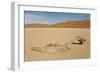 Dry Pan and Sand Dunes in the Centre of the Namib-null-Framed Photographic Print