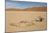 Dry Pan and Sand Dunes in the Centre of the Namib-null-Mounted Photographic Print