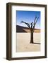 Dry Planet-mddfiles-Framed Photographic Print