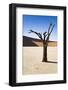 Dry Planet-mddfiles-Framed Photographic Print