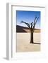 Dry Planet-mddfiles-Framed Photographic Print