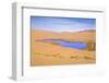 Dry Plant in Desert Lake-kenny001-Framed Photographic Print