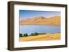 Dry Plant in Desert Lake-kenny001-Framed Photographic Print