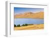 Dry Plant in Desert Lake-kenny001-Framed Photographic Print