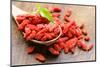 Dry Red Goji Berries for a Healthy Diet-Olga Krig-Mounted Photographic Print