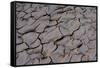 Dry River Bed, Skeleton Coast Park, Namibia, Africa-Thorsten Milse-Framed Stretched Canvas