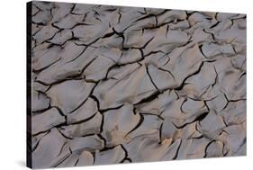 Dry River Bed, Skeleton Coast Park, Namibia, Africa-Thorsten Milse-Stretched Canvas