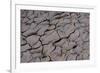 Dry River Bed, Skeleton Coast Park, Namibia, Africa-Thorsten Milse-Framed Photographic Print