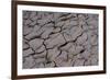 Dry River Bed, Skeleton Coast Park, Namibia, Africa-Thorsten Milse-Framed Photographic Print