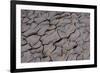 Dry River Bed, Skeleton Coast Park, Namibia, Africa-Thorsten Milse-Framed Photographic Print