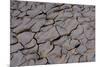 Dry River Bed, Skeleton Coast Park, Namibia, Africa-Thorsten Milse-Mounted Photographic Print