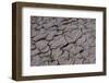 Dry River Bed, Skeleton Coast Park, Namibia, Africa-Thorsten Milse-Framed Photographic Print