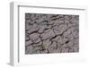 Dry River Bed, Skeleton Coast Park, Namibia, Africa-Thorsten Milse-Framed Photographic Print