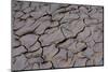 Dry River Bed, Skeleton Coast Park, Namibia, Africa-Thorsten Milse-Mounted Photographic Print