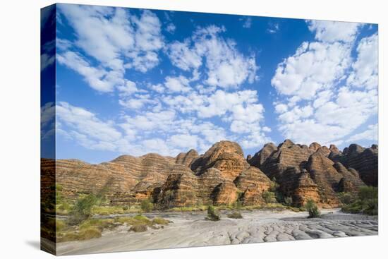 Dry River before the The Beehive-Like Mounds in the Purnululu National Park-Michael Runkel-Stretched Canvas