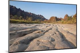 Dry River before the The Beehive-Like Mounds in the Purnululu National Park-Michael Runkel-Mounted Photographic Print