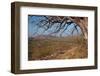 Dry River-JeremyRichards-Framed Photographic Print