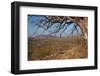 Dry River-JeremyRichards-Framed Photographic Print