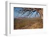 Dry River-JeremyRichards-Framed Photographic Print